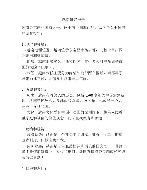 越南研究报告