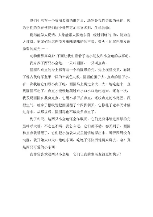 奇妙的动物世界作文500字精选