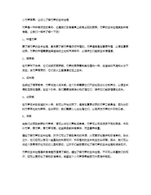 小竹笋学案：让幼儿了解竹笋的生长过程