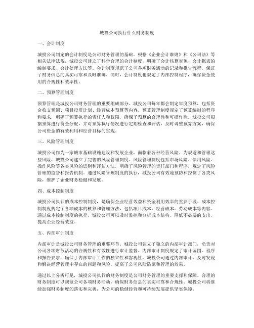 城投公司执行什么财务制度