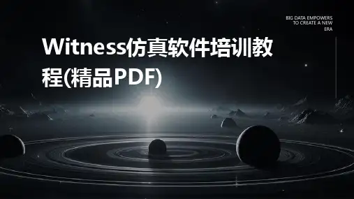 2024Witness仿真软件培训教程(精品PDF)