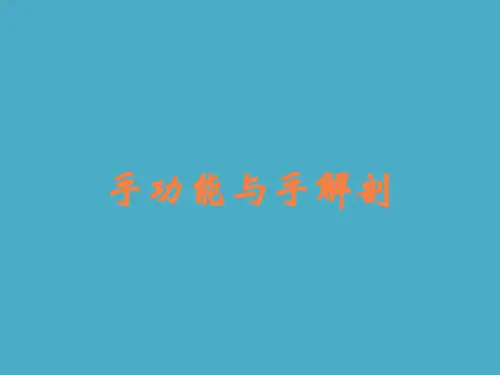 手功能与手解剖