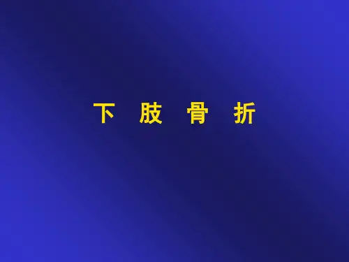 下肢骨折精品课件