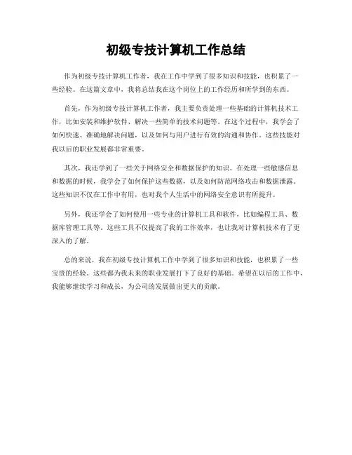初级专技计算机工作总结
