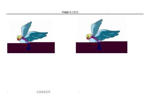 PEP小学英语三年级(上册)第四单元动物小卡片[带单词,可直接打印]