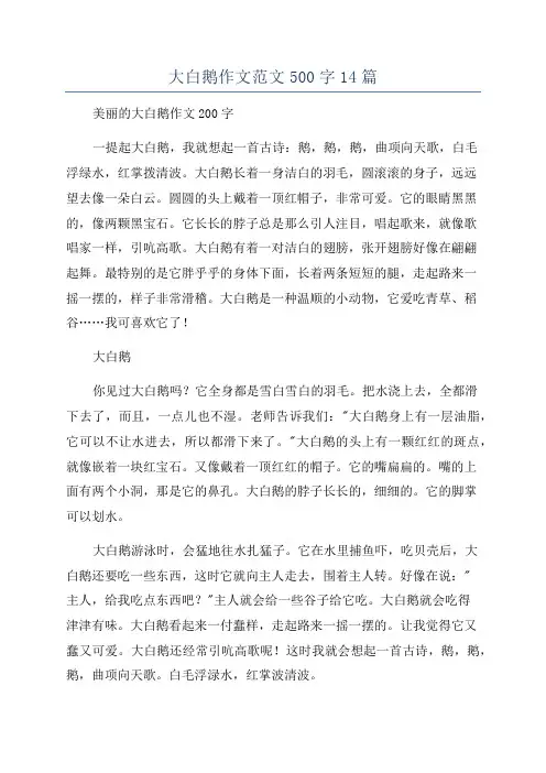 大白鹅作文范文500字14篇
