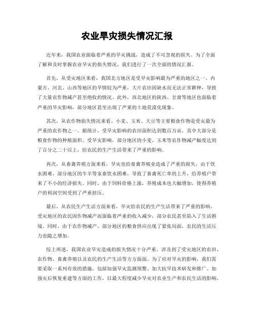 农业旱灾损失情况汇报