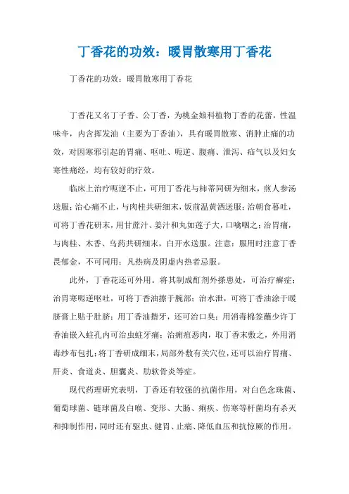 丁香花的功效：暖胃散寒用丁香花