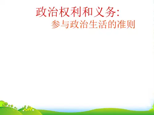 高中政治 第一课 公民的政治生活 第二框 政治权利和义务 参与政治生活的准则课件 新人教版必修2
