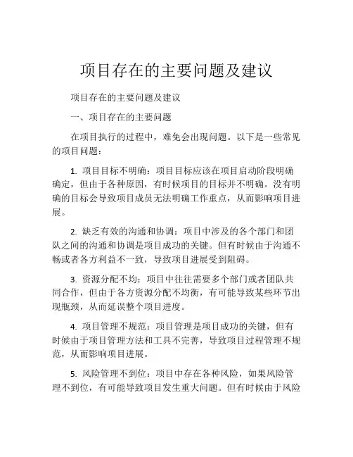 项目存在的主要问题及建议