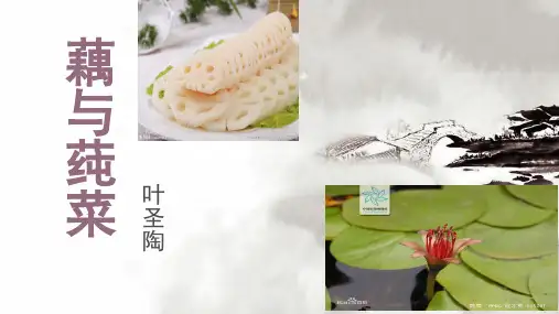 《藕与莼菜》