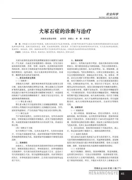 犬尿石症的诊断与治疗