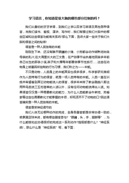 学习语言，你知道是受大脑的哪些部分控制的吗？