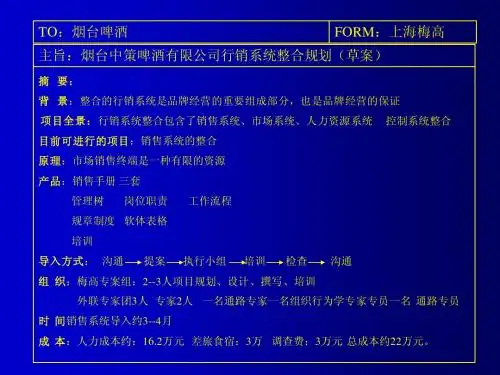 146 啤酒  烟台啤酒行销系统整合规划