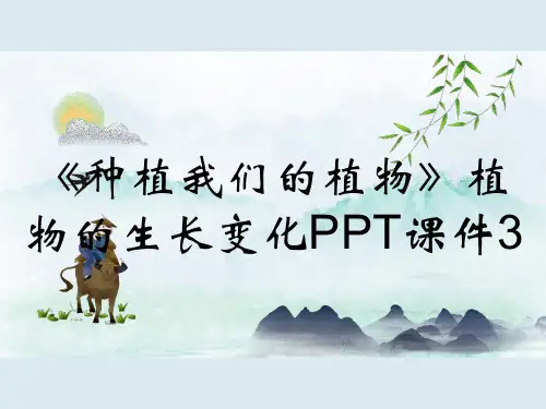 《种植我们的植物》植物的生长变化PPT课件3
