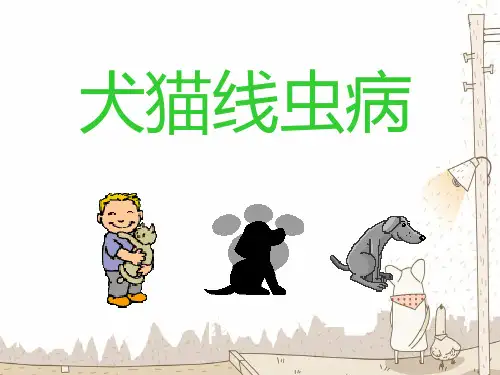 宠物寄生虫线虫部分