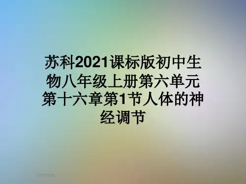 苏科2021课标版初中生物八年级上册第六单元第十六章第1节人体的神经调节