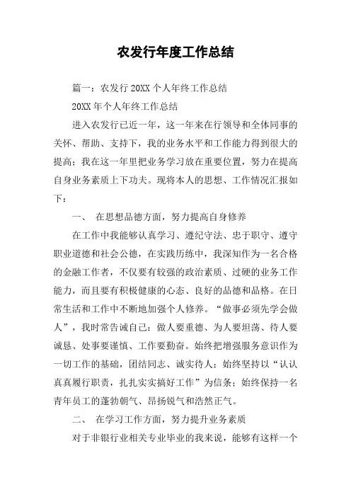 农发行年度工作总结