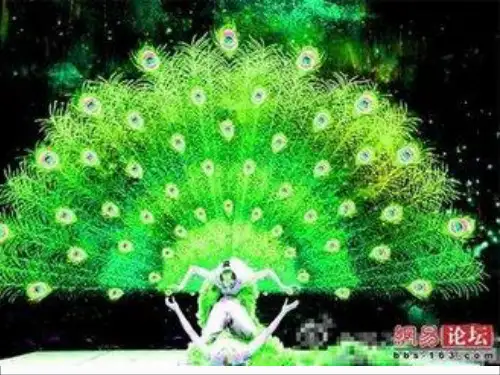 74《快乐的泼水节》.(恢复)精品PPT课件