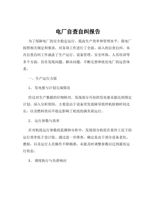 电厂自查自纠报告