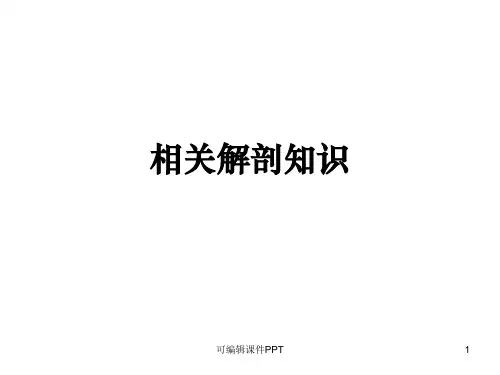 脊柱及椎体解剖图谱PPT课件