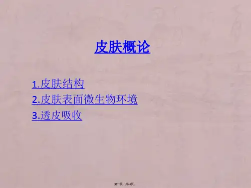 酵母在护肤品中应用