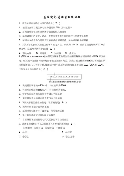 生物基因突变、基因重组习题