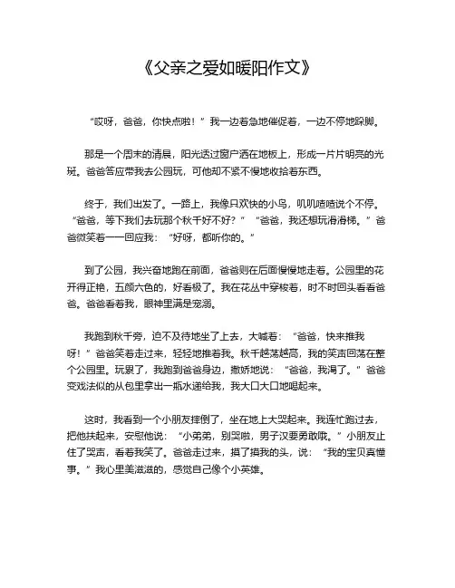 《父亲之爱如暖阳作文》