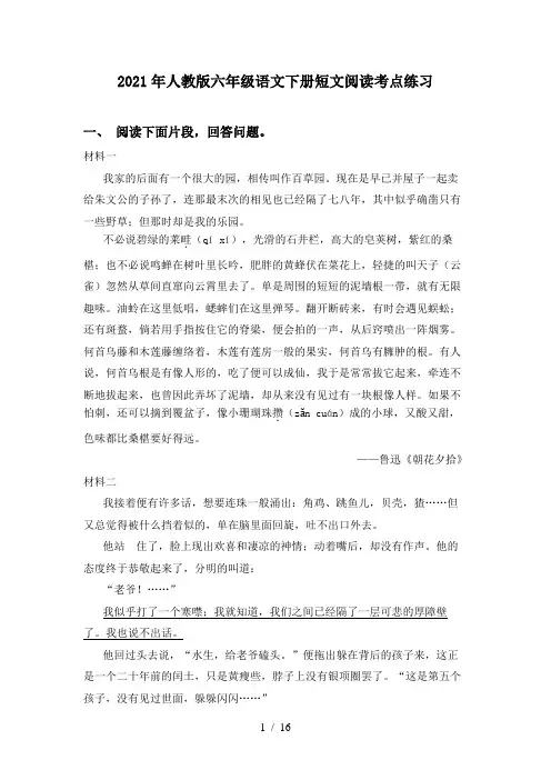 2021年人教版六年级语文下册短文阅读考点练习
