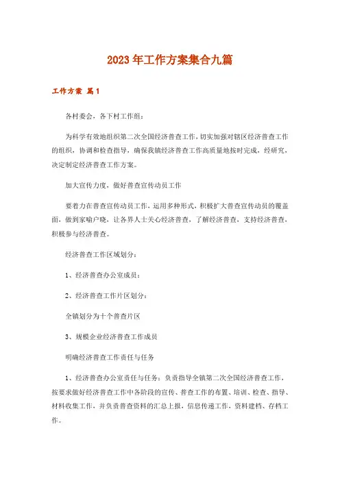 2023年工作方案集合九篇_5