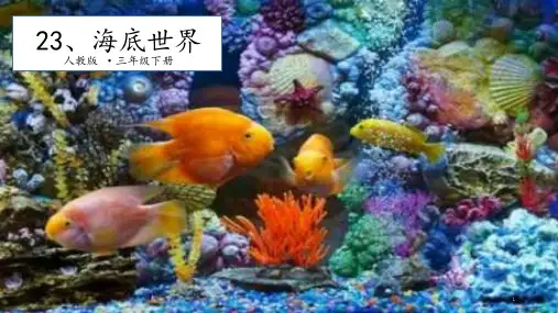 部编版海底世界PPT完美版课件
