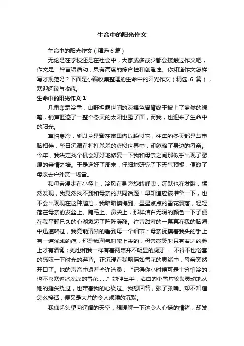 生命中的阳光作文