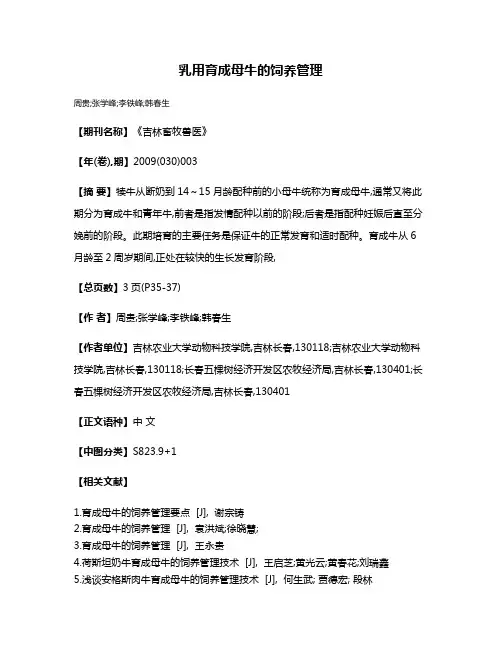 乳用育成母牛的饲养管理