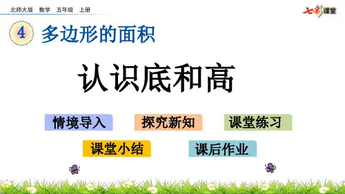 北师大版数学五年级上册 认识底和高(2)