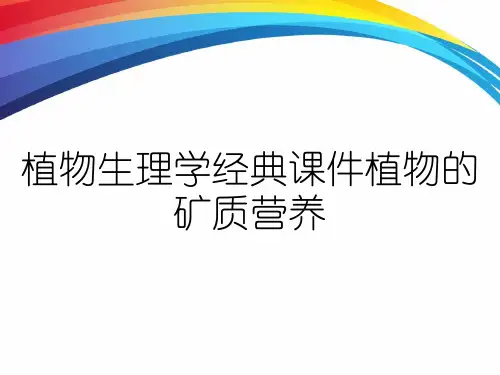 植物生理学经典课件植物的矿质营养
