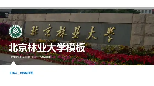 北京林业大学PPT模板商务1