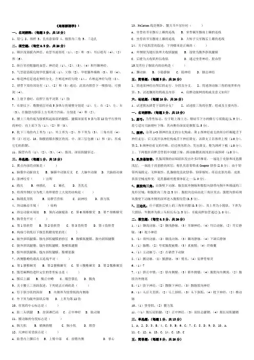 《局部解剖学》习题 解答