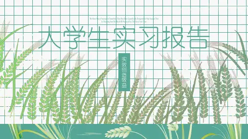 大学生实习汇报工作报告PPT模板