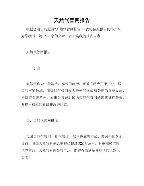 天然气管网报告