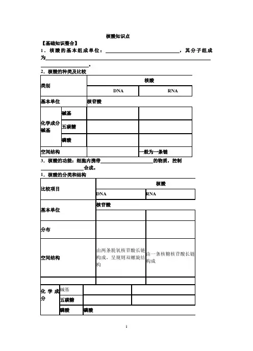 细胞中的核酸知识点