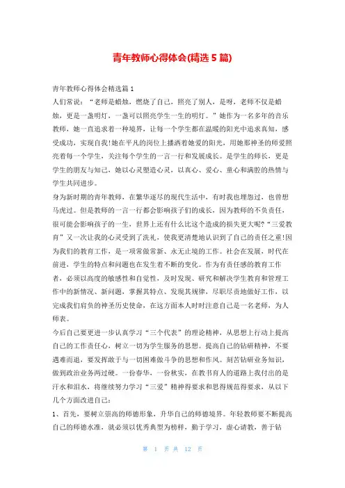 青年教师心得体会(精选5篇)
