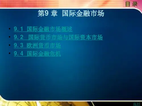 《国际金融实务》电子教案 第9 章  国际金融市场