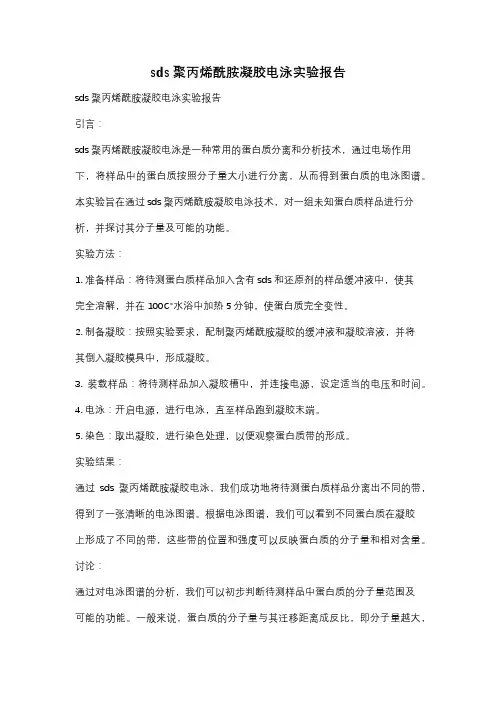 sds聚丙烯酰胺凝胶电泳实验报告