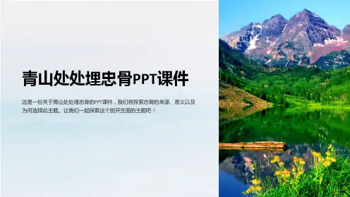 青山处处埋忠骨课件