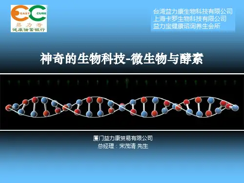 神奇的生物科技-微生物与酵素