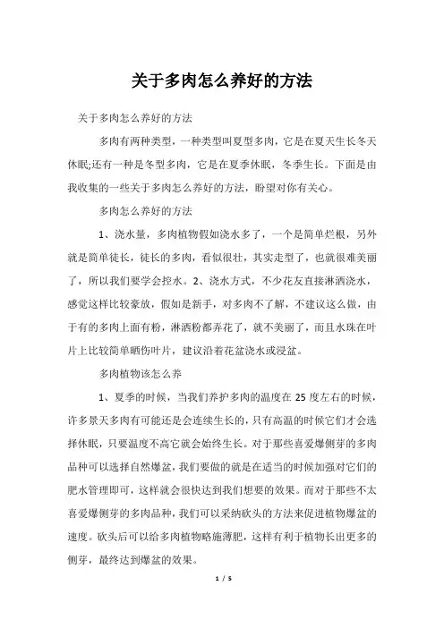 多肉怎么养好方法