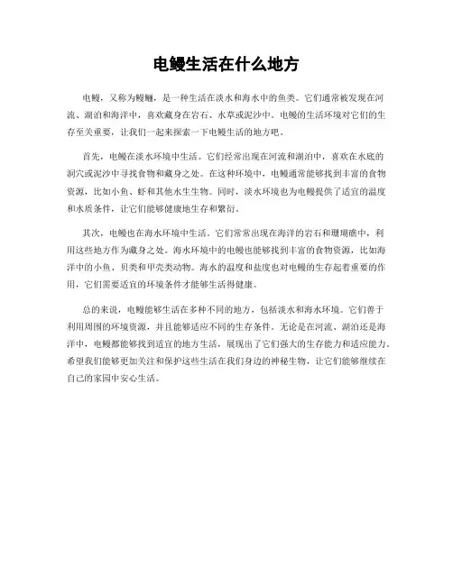 电鳗生活在什么地方