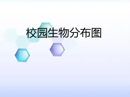 科学六年级上册(教科版)4-2《校园生物分布图》(课件)