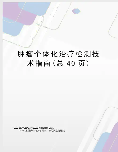 肿瘤个体化治疗检测技术指南(总40页)