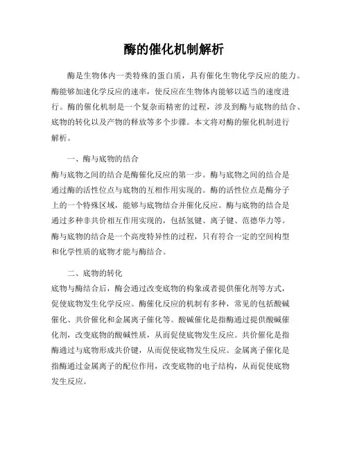 酶的催化机制解析